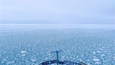 روساتوم: فريق دولي من الخبراء يستخلص نتائج رصد السلامة البيئية لمياه طريق بحر الشمال