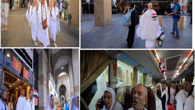 الموجز