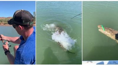 «مش هتصدق» .. قصة الصياد الذى سحب سنارته ليجد وحشا عملاق