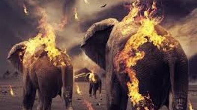 الفيل والطير الابابيل..شق صدره وهو في الثالثه..السحابة التي كانت تظله..سجود الشجر والحجر له وحديثه معهم..معجزات أذهلت الكثير عن خاتم النبيين