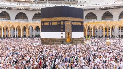 شاهد بالفيديو .. ‏وصول أول أفواج حجاج القرعة إلى مطار القاهرة الدولى