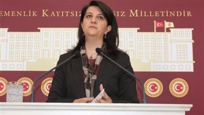 حزب الشعوب التركي: حكومة أردوغان ترعى السرقة وجرائم الحرب في المنطقة