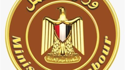 مجانًا.. بدء دورة تدريبية للغة الإنجليزية لشباب السويس