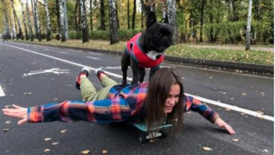 عضو فى فرقة موسيقية ويمارس رياضة التزلج.. حكاية أشهر كلب في العالم