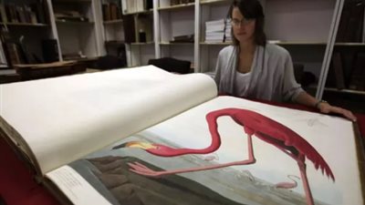 أسعارها تتعدى الـ 35 مليون دولار.. تعرف على أغلى 6 كتب في العالم