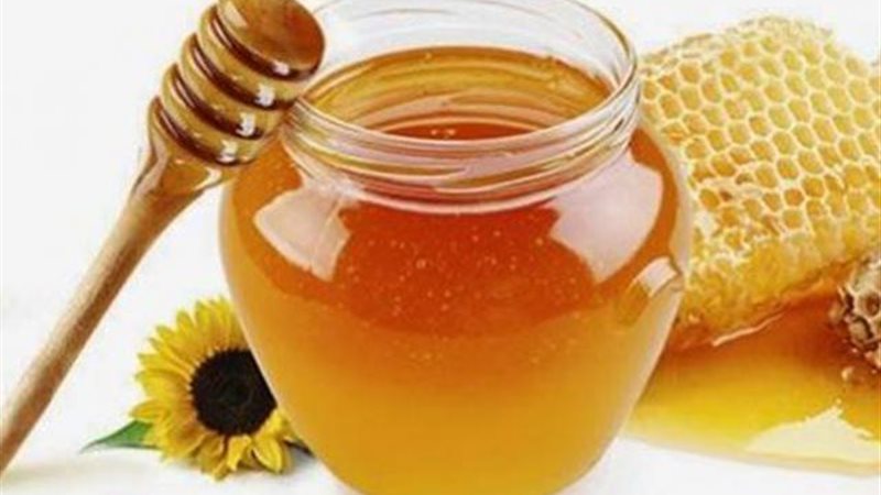 عسل السدر الجبلي