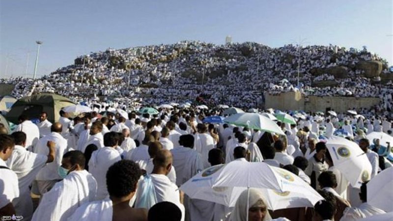 أرشيفية