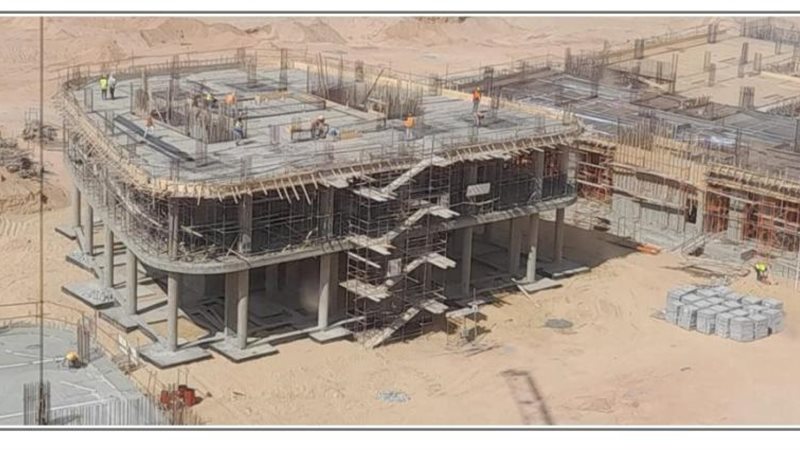 جامعة باديا