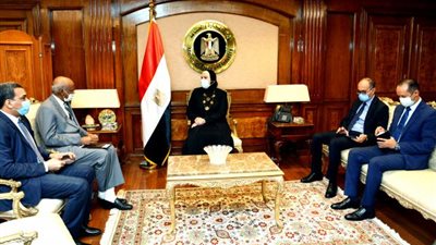 تفاصيل مباحثات وزيرة التجارة والصناعة والسفير السودانى بالقاهرة حول تعزيز سبل التعاون التجاري والصناعي المشترك بين البلدين
