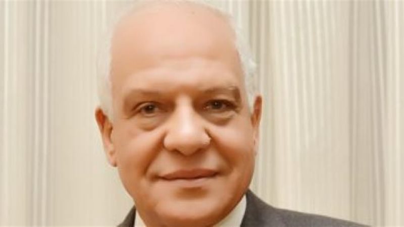 محافظ الجيزة