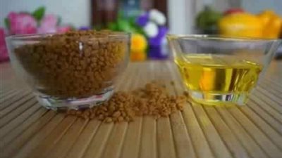 فوائد «الحلبة» للشعر والبشرة