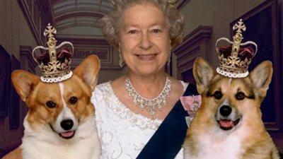 على رأسهم الملكة إليزابيث.. حكاية عشق الملوك والأمراء للكلاب