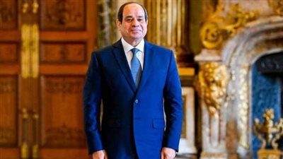 الرئيس السيسي يعود إلى أرض الوطن بعد المشاركة في قمة العشرين