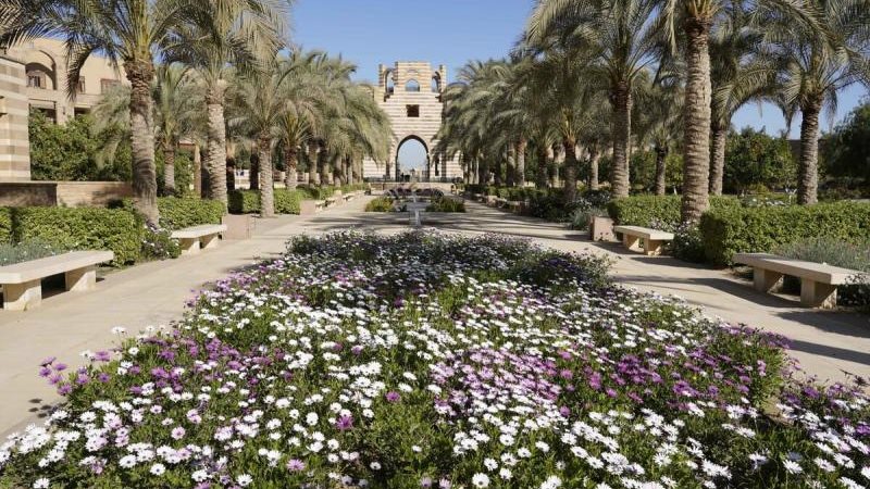 الموجز