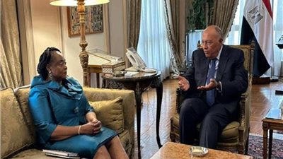 ماذا دار في اجتماع وزير الخارجية مع رئيسة مجلس الشيوخ في جمهورية غينيا الاستوائية؟