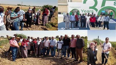 «الطاقة الذرية» تطلق أول برنامج تدريبي لاستخدام التقنيات النووية بإدارة المياه الزراعية