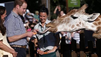 «بيطبخ بدل مراته».. حقاق صادمة عن مهام الأمير ويليام مع زوجته بعيدًا عن القواعد الملكية