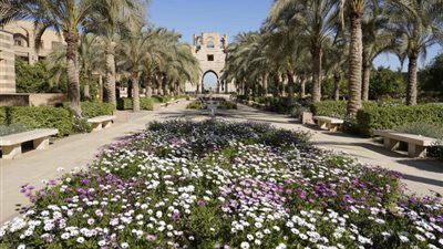 الجامعة الأمريكية بالقاهرة تحصل على منحة 85 مليون دولار لتطوير التعليم العالي في مصر