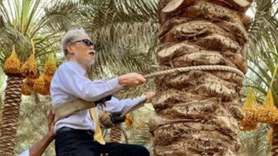 بعد تسلقه نخلة في البحيرة.. السفير اليابانى بالقاهرة يتصدر تريند السوشيال ميديا