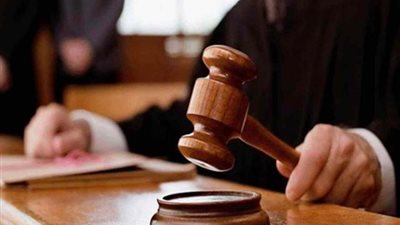 حجز اعادة محاكمة 9 متهمين فى قضية ذكرى ثورة يناير على الحكم الصادر ضدهم لجلسة 29 ديسمبر