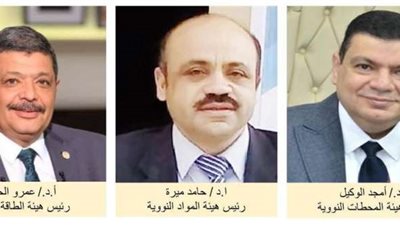 «مدبولي» يشكل الوفد الرسمي المصري في الاجتماع العام للوكالة الدولية للطاقة الذرية بفيينا