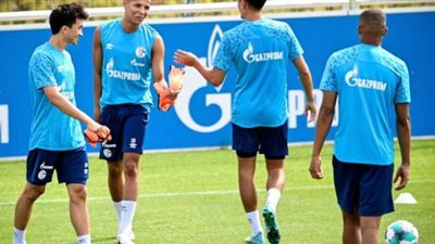 رسمياً.. شفاينفورت يواجه شالكة في بطولة الكأس