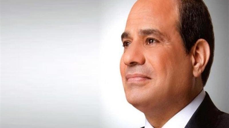 الرئيس السيسى