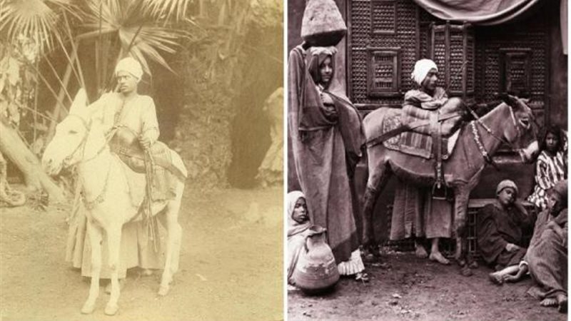 طائفة الحمارة