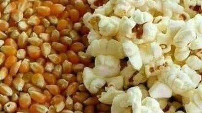 ماذا يحدث عند تناول الفشار بكميات كبيرة؟