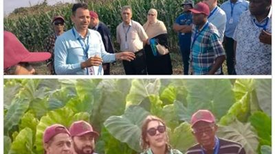 «الطاقة الذرية» تطلق مبادرة لدعم الفلاح لإنشاء نظم زراعية ذكية