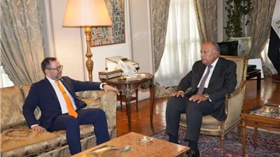 تفاصيل لقاء وزير الخارجية ونظيره الفنزويلي