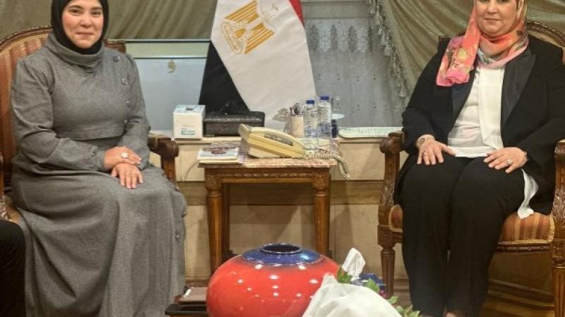 الموجز