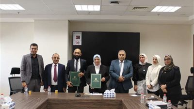 105 مليون جنيه.. قيمة تعاقد «المصرية للكهرباء» لتفريغ الطاقة المولدة من المحطات الشمسية بكوم أمبو