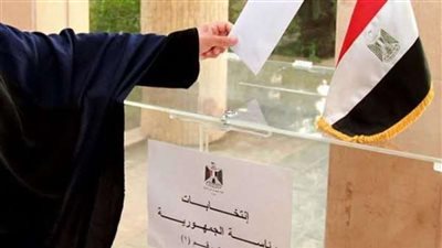 انتخابات الرئاسة 2024.. آخر موعد لإخطار الهيئة الوطنية بممثلي المرشحين بلجان المصريين بالخارج