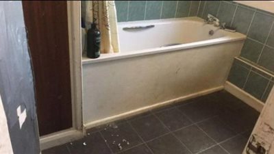 أزمة نفسية لعائلة بريطانية بسبب غزو للفئران.. إليك التفاصيل