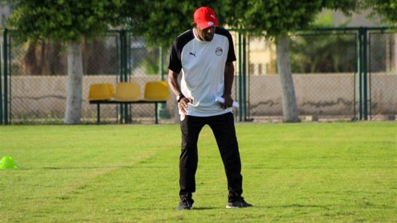 ربيع ياسين