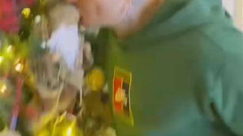 الفيشاوي
