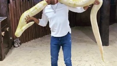 محمد رمضان يلعب مع ثعبان ضخم في دبي (فيديو)