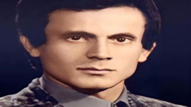 محمد صبحي