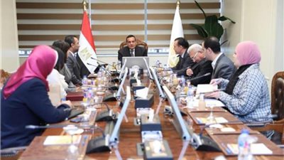 تفاصيل لقاء وزير التنمية المحلية و مسئولي «ميدمارت» للتسويق وتطوير الأعمال