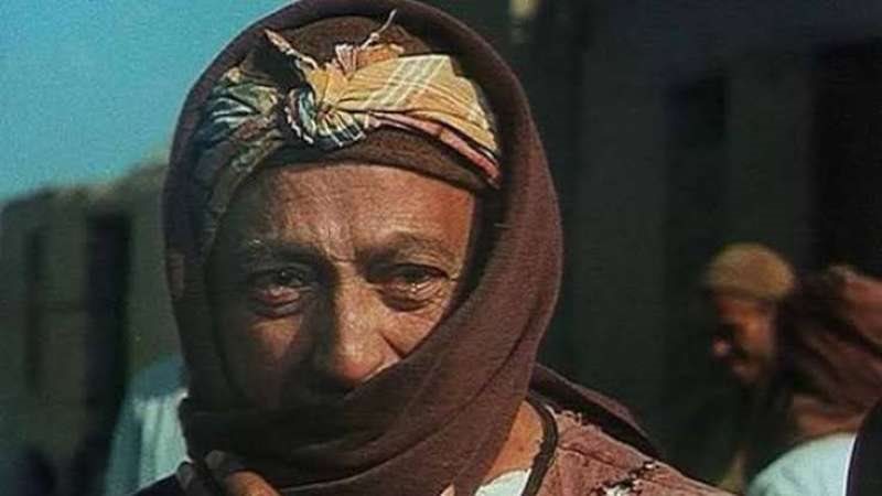 محمود المليجي