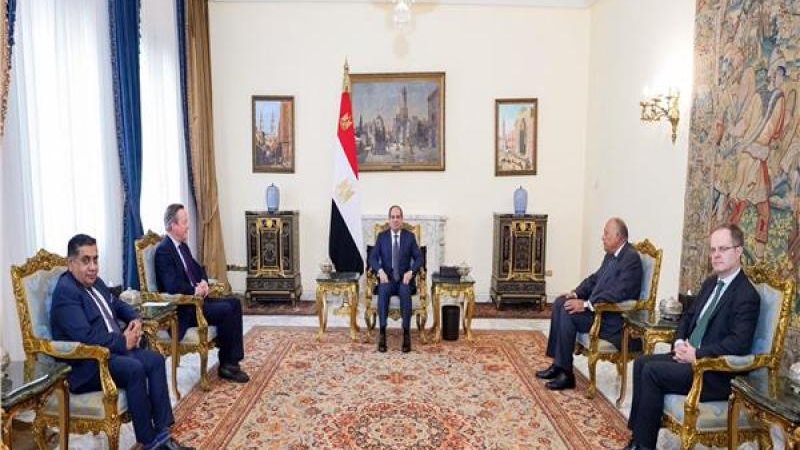 الرئيس السيسي