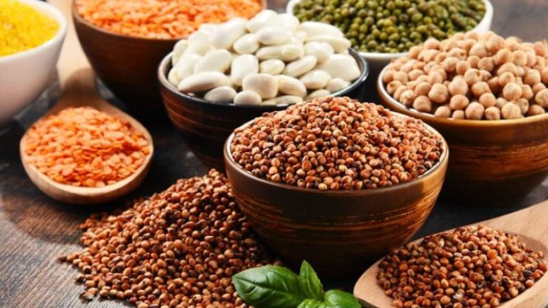 الموجز