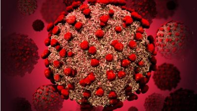 عاجل.. الصحة تعلن عن أول إصابات متحور كورونا الجديد في مصر