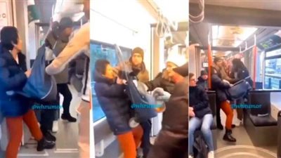 بالفيديو.. سيدة تخوض حربًا مع وحش خفي في قطار مزدحم وتتلقى نهاية مروعة