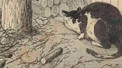 لأصحاب عيون الصقر.. هل يمكنك العثور على الفأر المختبئ بالصورة؟