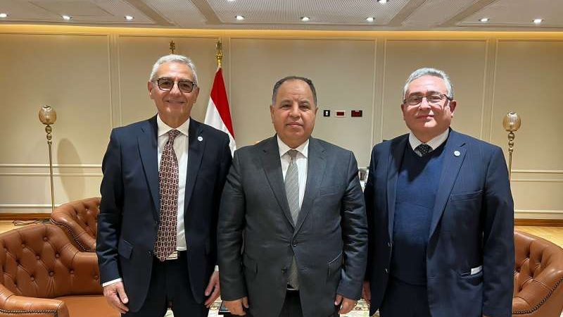 وزير المالية محمد