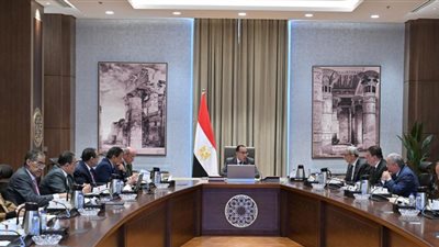 إعادة هيكلة.. خطة الحكومة لتطوير الهيئة العامة للاستعلامات