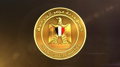 بالإنفوجراف.. مجلس الوزراء يرصد رؤية الإعلام الأجنبي لملف المواطنة في مصر