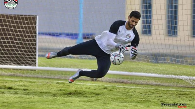 محمد الشناوي